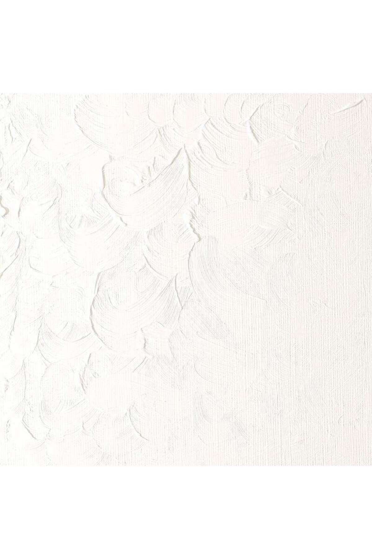 Winsor Newton Winton Yağlı Boya 200ml - N:644 Titanium White