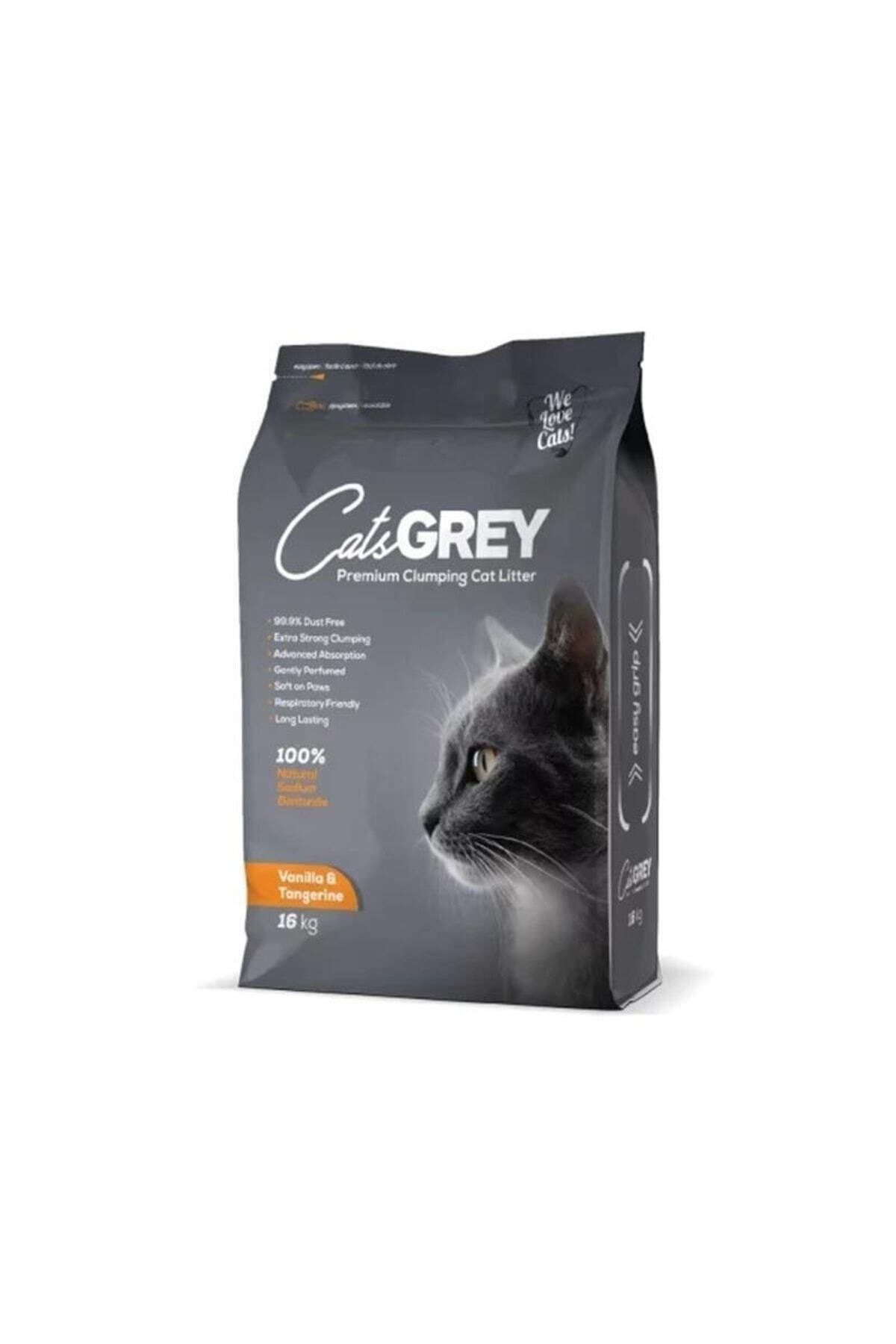 Grey kedi 2025