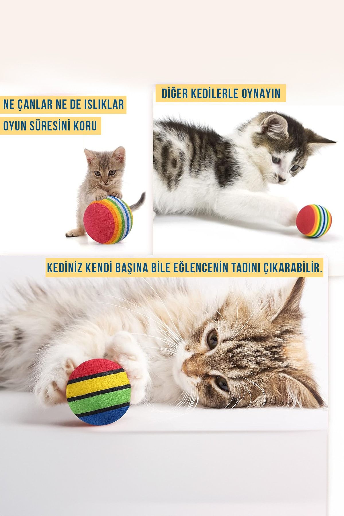 Cat toys shop near me