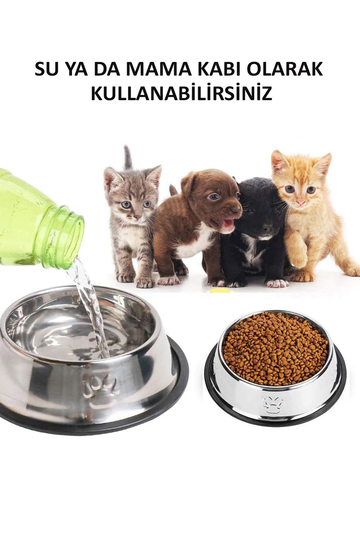 Pet dishes for best sale cats