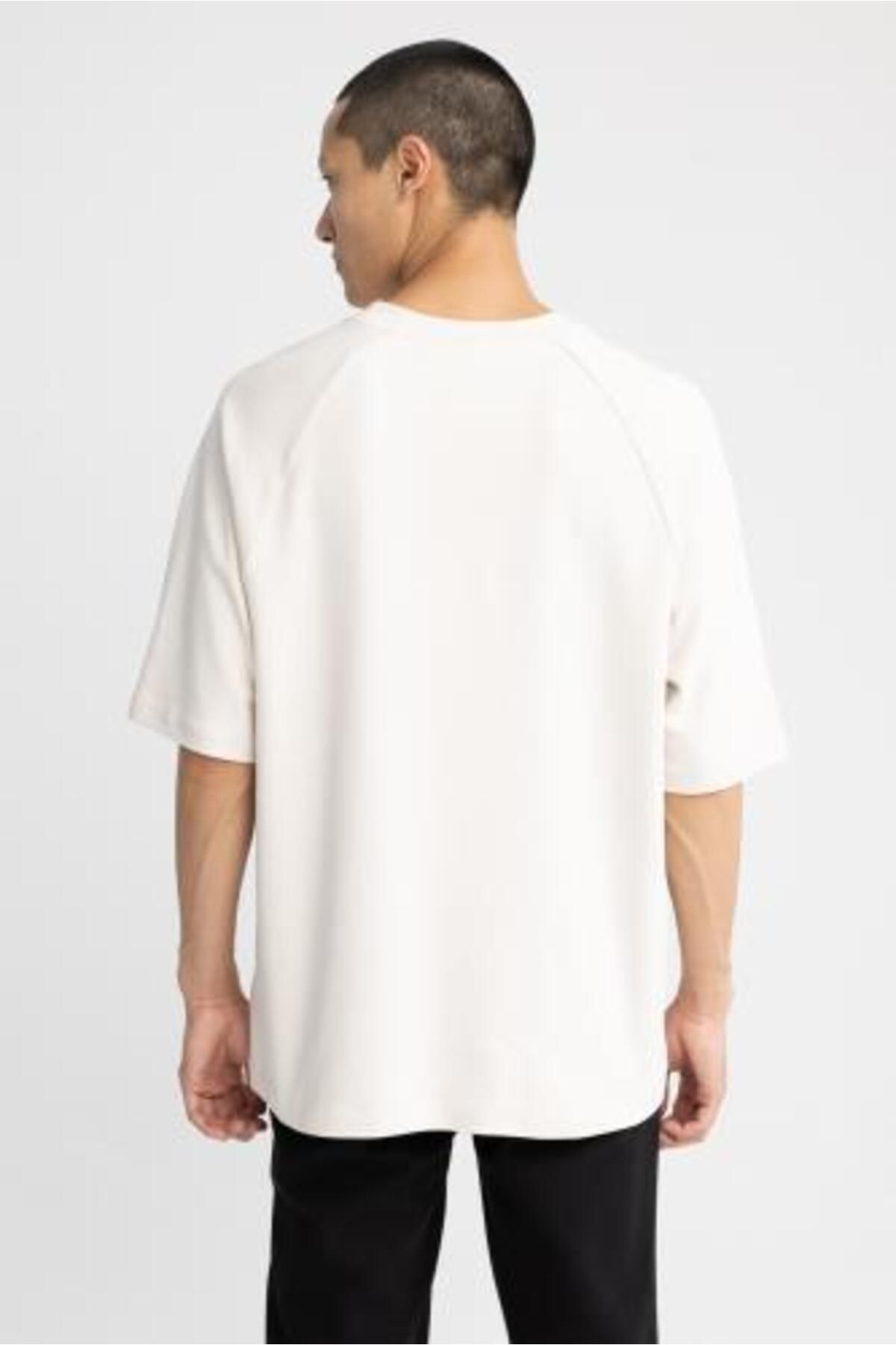 DeFacto-Oversize Fit Crew Neck Basic κοντομάνικο μπλουζάκι 8