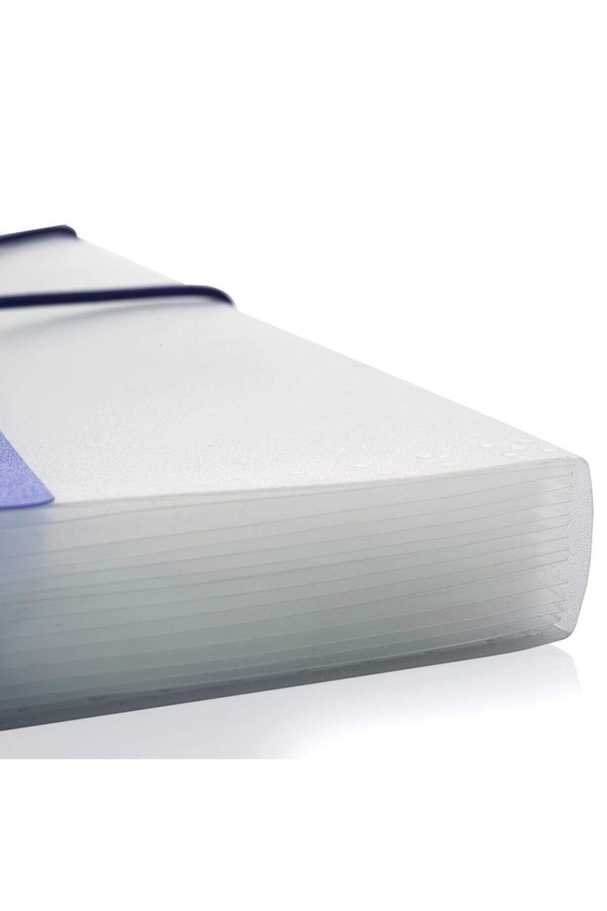 Bigpoint-Lotte A4 Transparent Color Gusseted File - 13 Pockets Elasticated 2