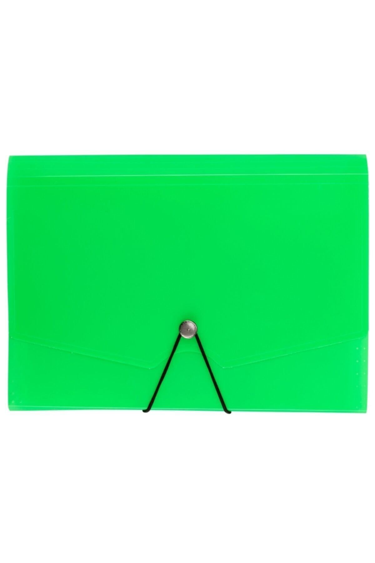 Bigpoint-Lotte A4 Transparent Color Gusseted File - 13 Pockets Elasticated 3