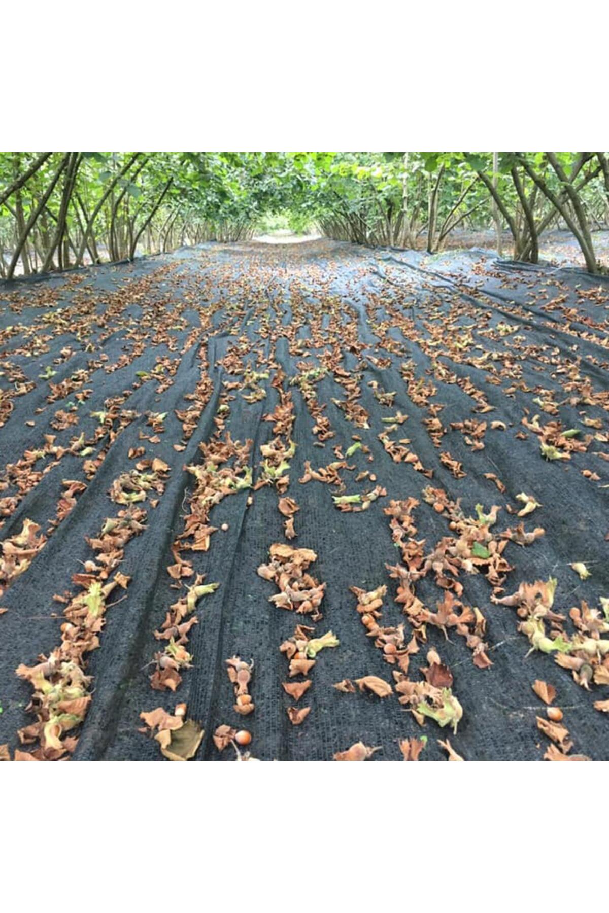 2X5 METRE FINDIK SERGİSİ FINDIK TOPLAMA FİLESİ FINDIK KURUTMA ÖRTÜSÜ 40'LIK GÖLGELİK FINDIK ALTI FİL 3