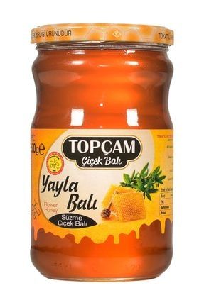 buyuk dedemin ballari erzurum yuksek rakim yayla cicek bali 480 gr fiyati yorumlari trendyol