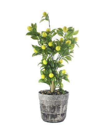Yapay Çiçek Seramik Saksıda Limon Ağacı SAKSILI MEYVE AĞACI gri seramik