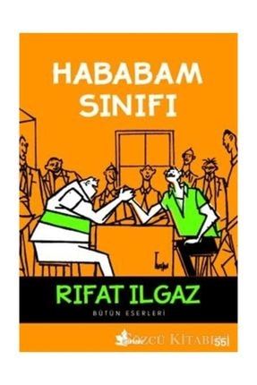 goody balikli yetiskin kedi mamasi 15