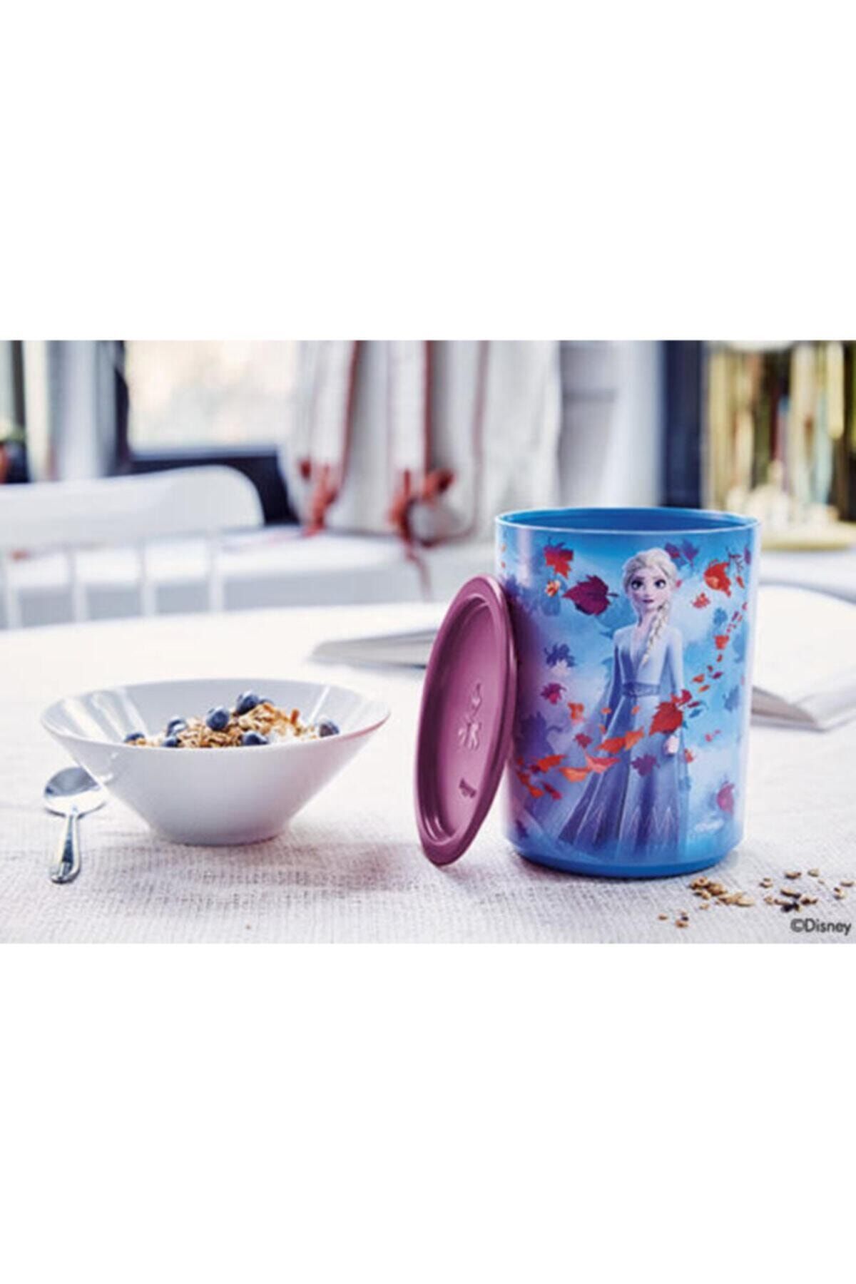 Tupperware-Frozen Single Finger Storage Container 2