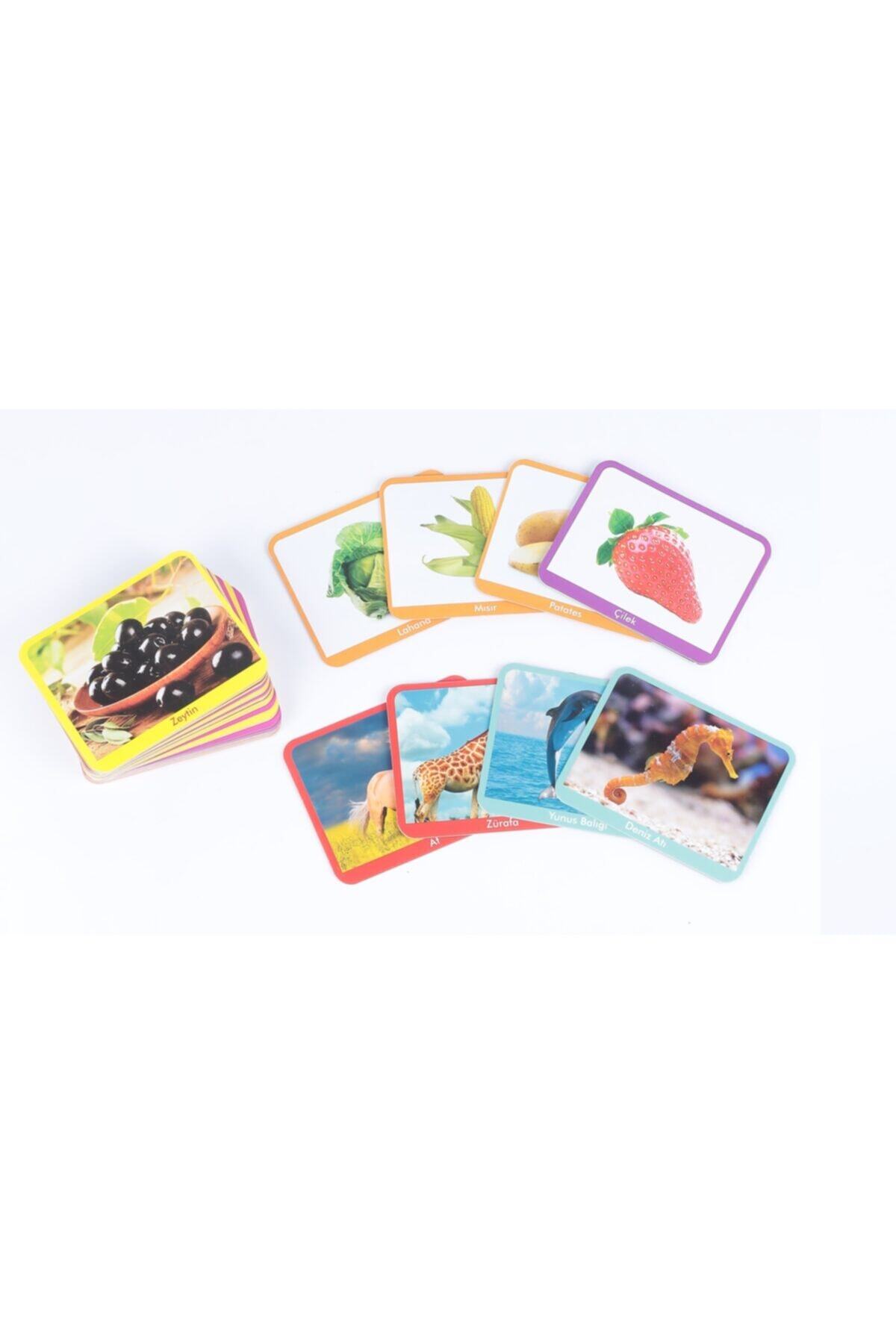 Zekice Ilk 100 Sözcük Zeka Kartları Zeka Geliştirici Eğitici Kartlar,yerli Ve Kendi Ürünümüzdür. fotoğrafı 3 (önizleme)