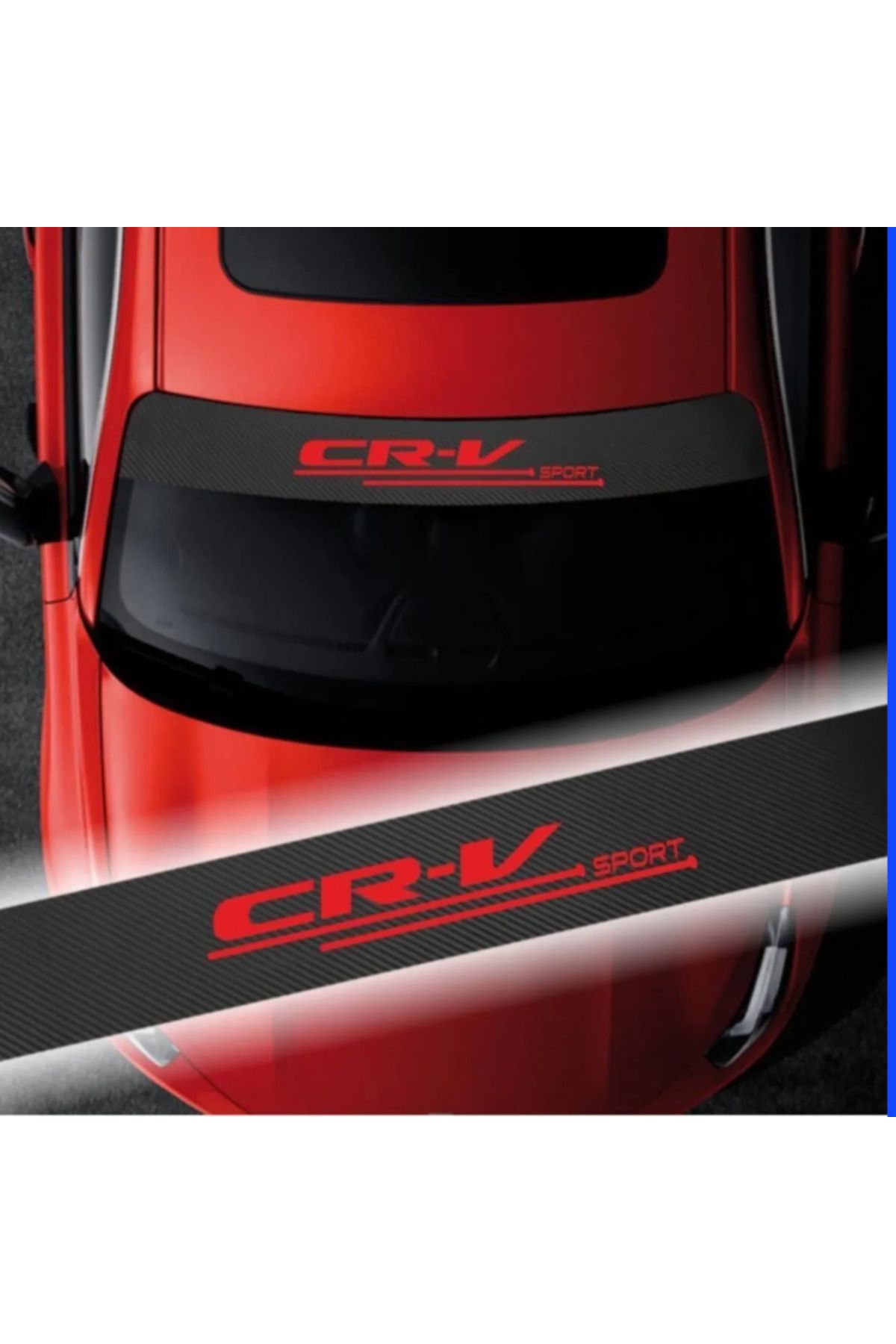 MSCSTORE-Carbon Windshield Auto Sticker For Ssangyong Actyon 5