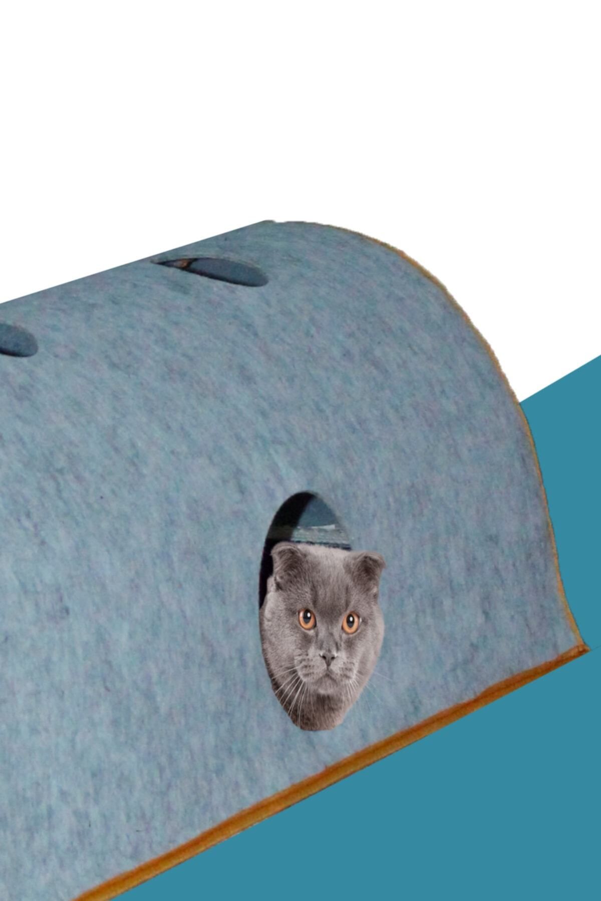 Zoofari cat tunnel hot sale