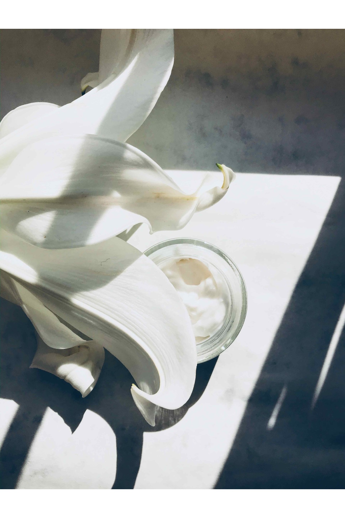 کرم صورت   abtira | WL-C اورجینال - تصویر 3