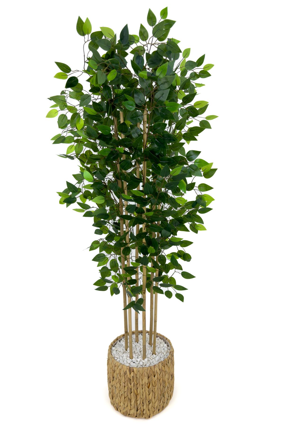 BİÇİÇEK-Artificial Benjamin Tree 170cm Wicker Bohem2 in a Pot 4