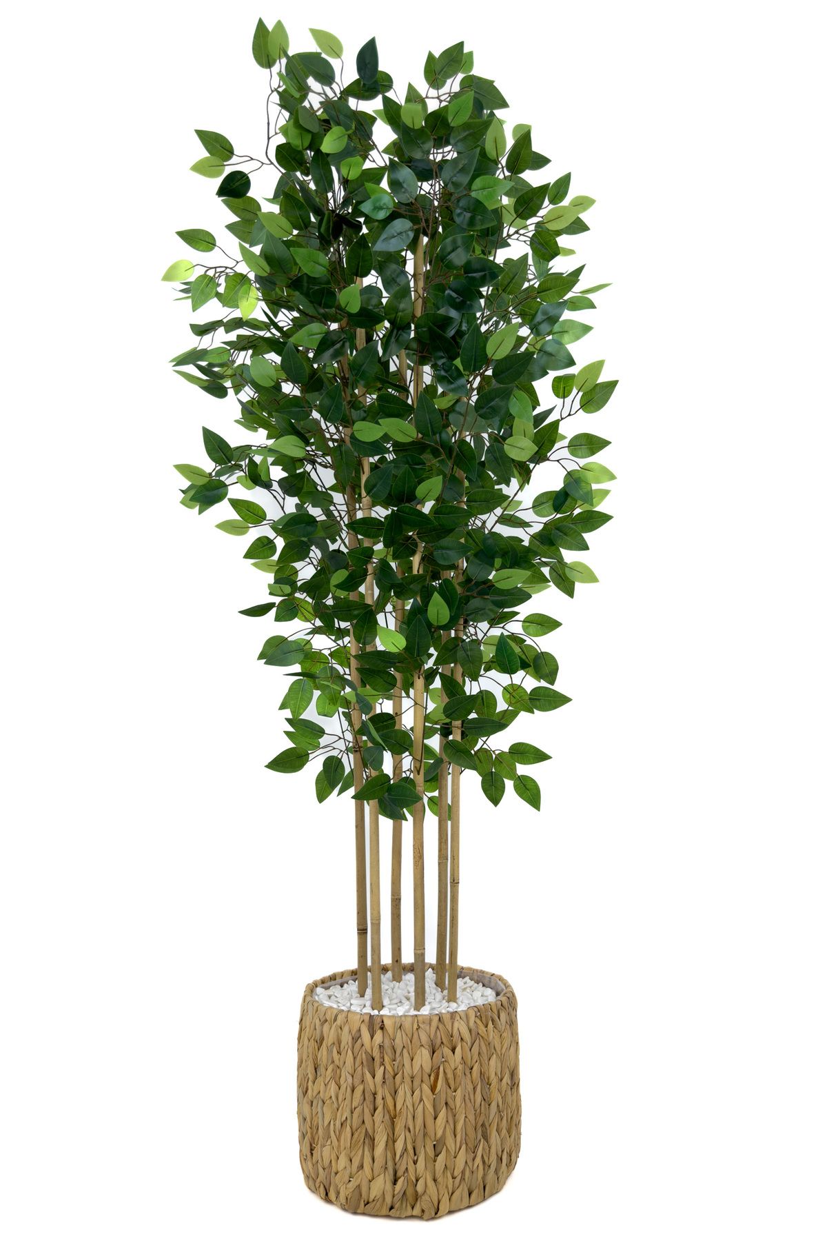 BİÇİÇEK-Artificial Benjamin Tree 170cm Wicker Bohem2 in a Pot 1