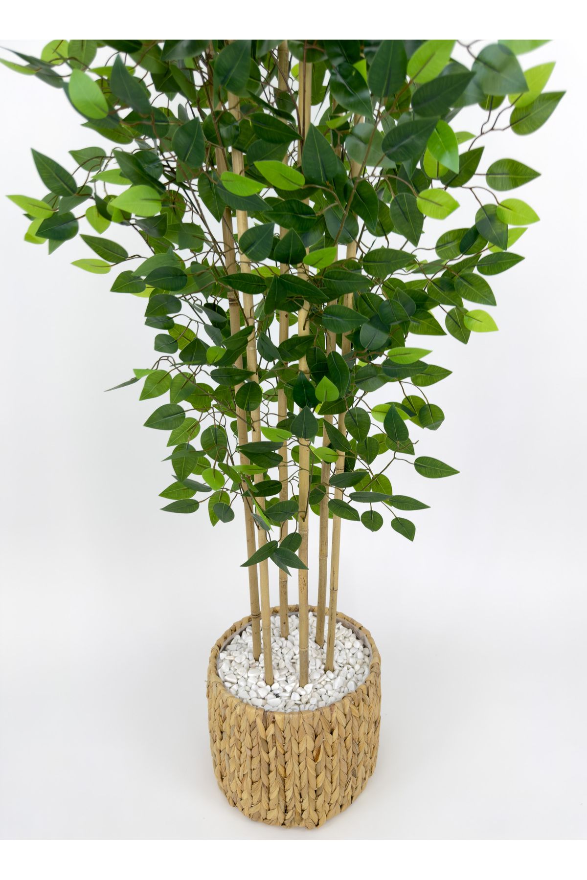 BİÇİÇEK-Artificial Benjamin Tree 170cm Wicker Bohem2 in a Pot 6