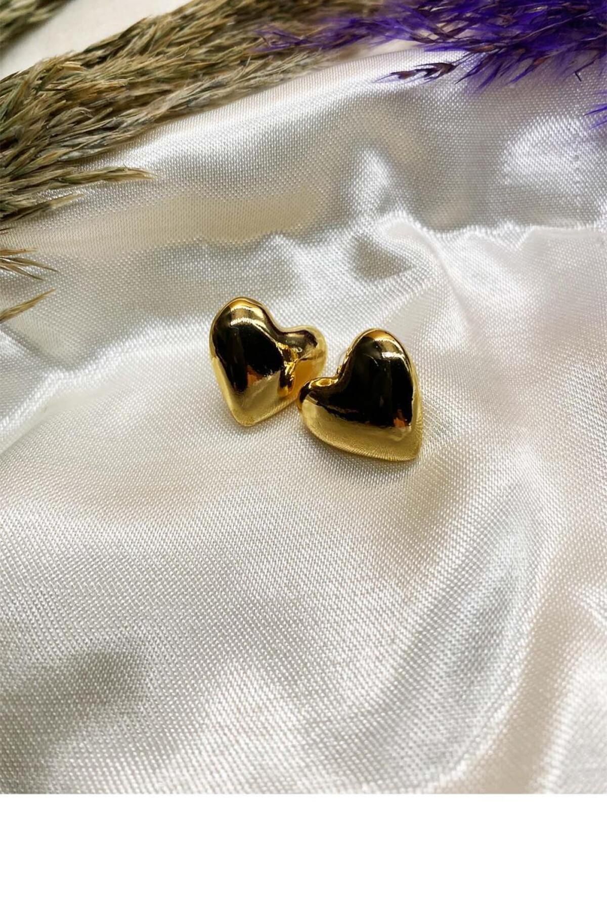 14k online heart earrings