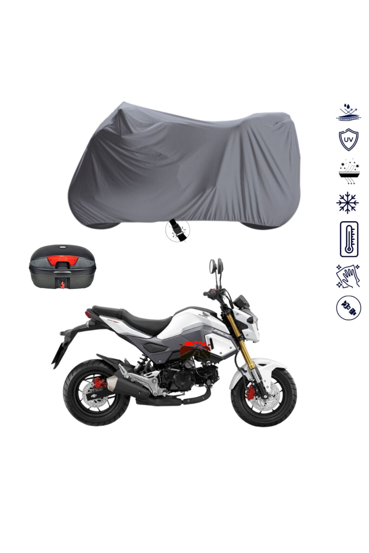 Honda grom cover store
