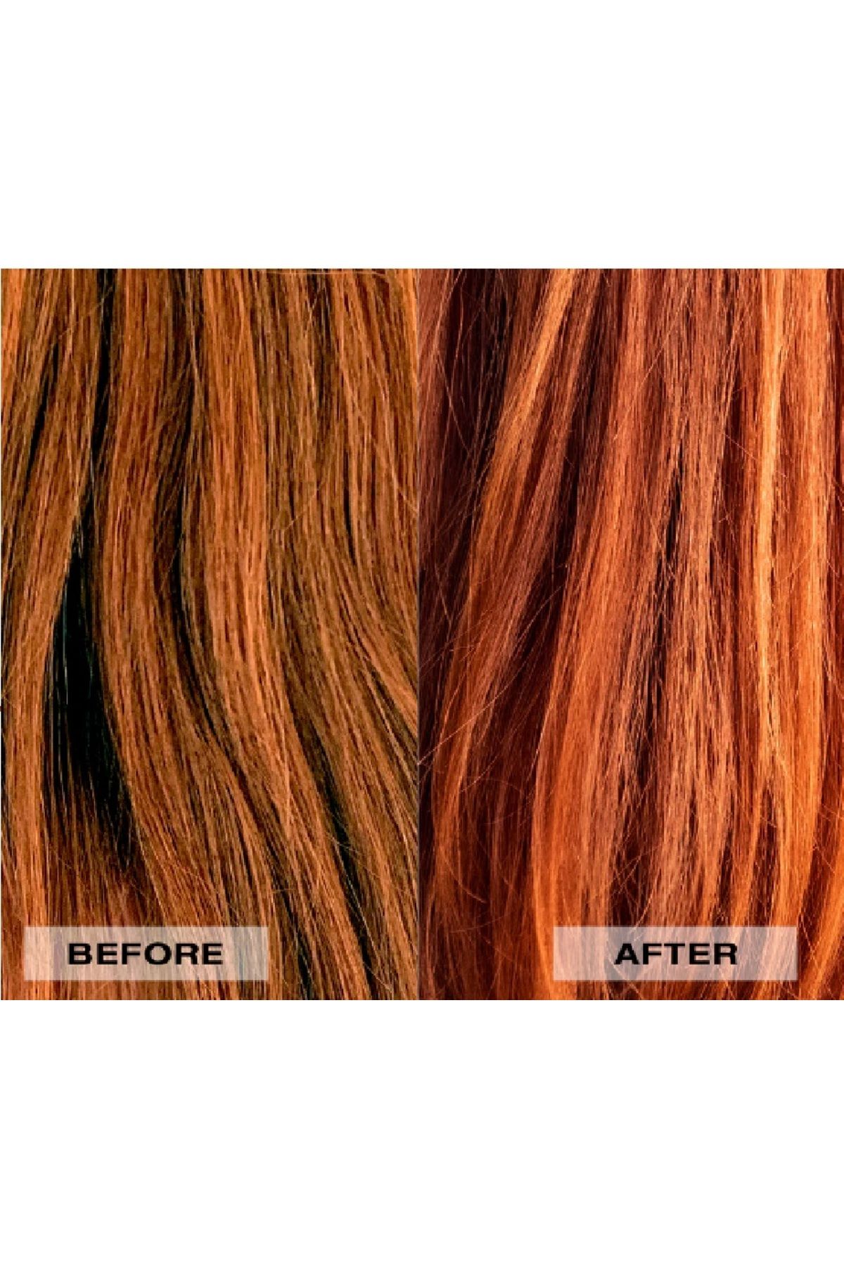 L'anza-Healing Colorcare Moisturizing Conditioner (Cruelty-free, 8.5 floz) ECBeauty!Q345 5