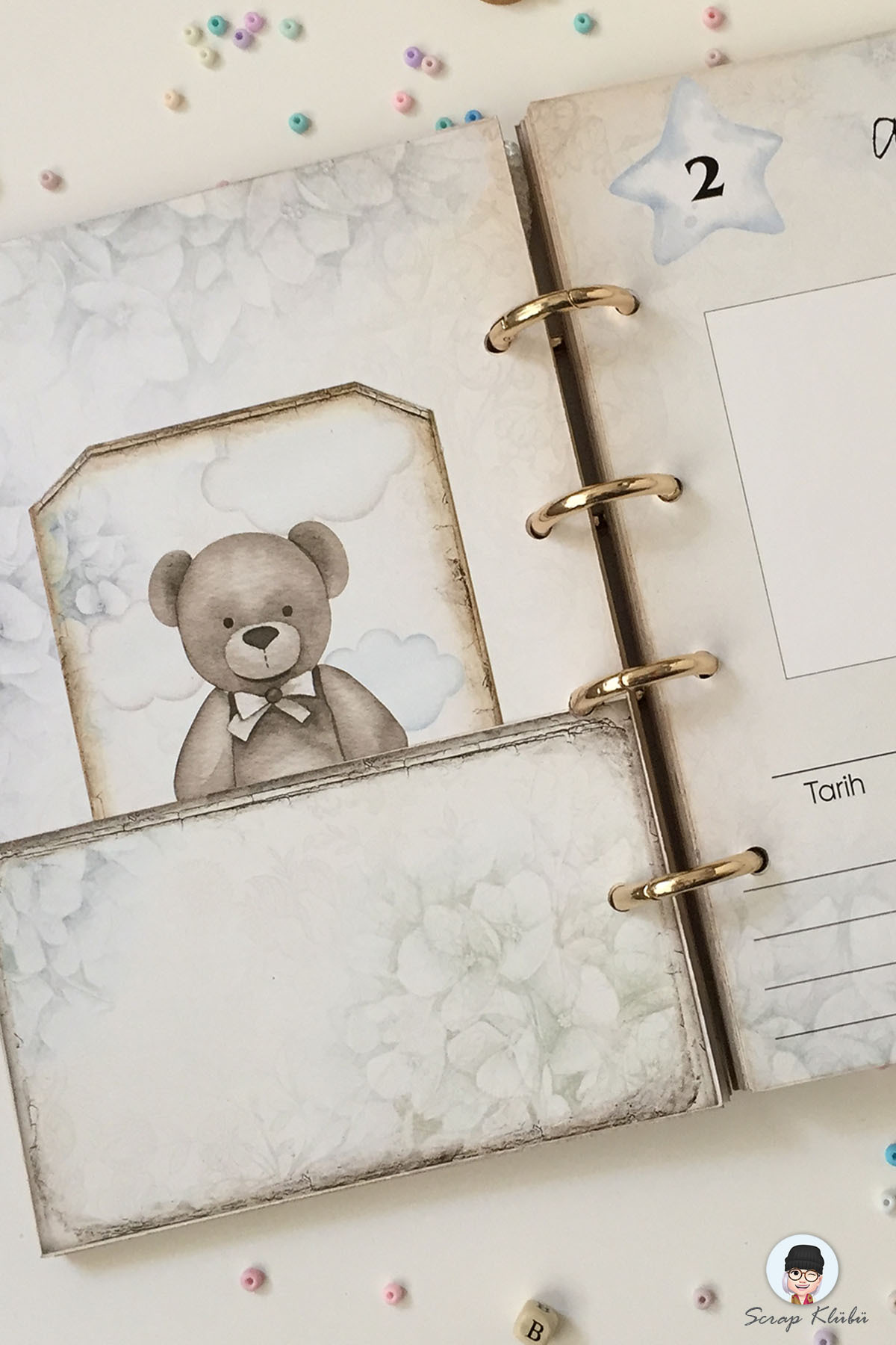 Scrap Klübü Erkek Bebek Anı Defteri - İlk 1 Yıl Bebek Fotograf Ve Anı Albümü fotoğrafı 5 (önizleme)