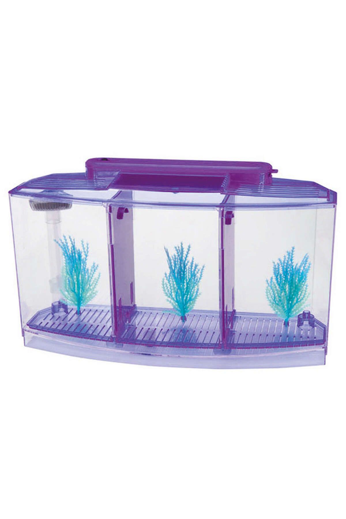 Фильтр для аквариума для петушка. Аквариум Box Betta 1.3. Специальные аквариумы для петушков.