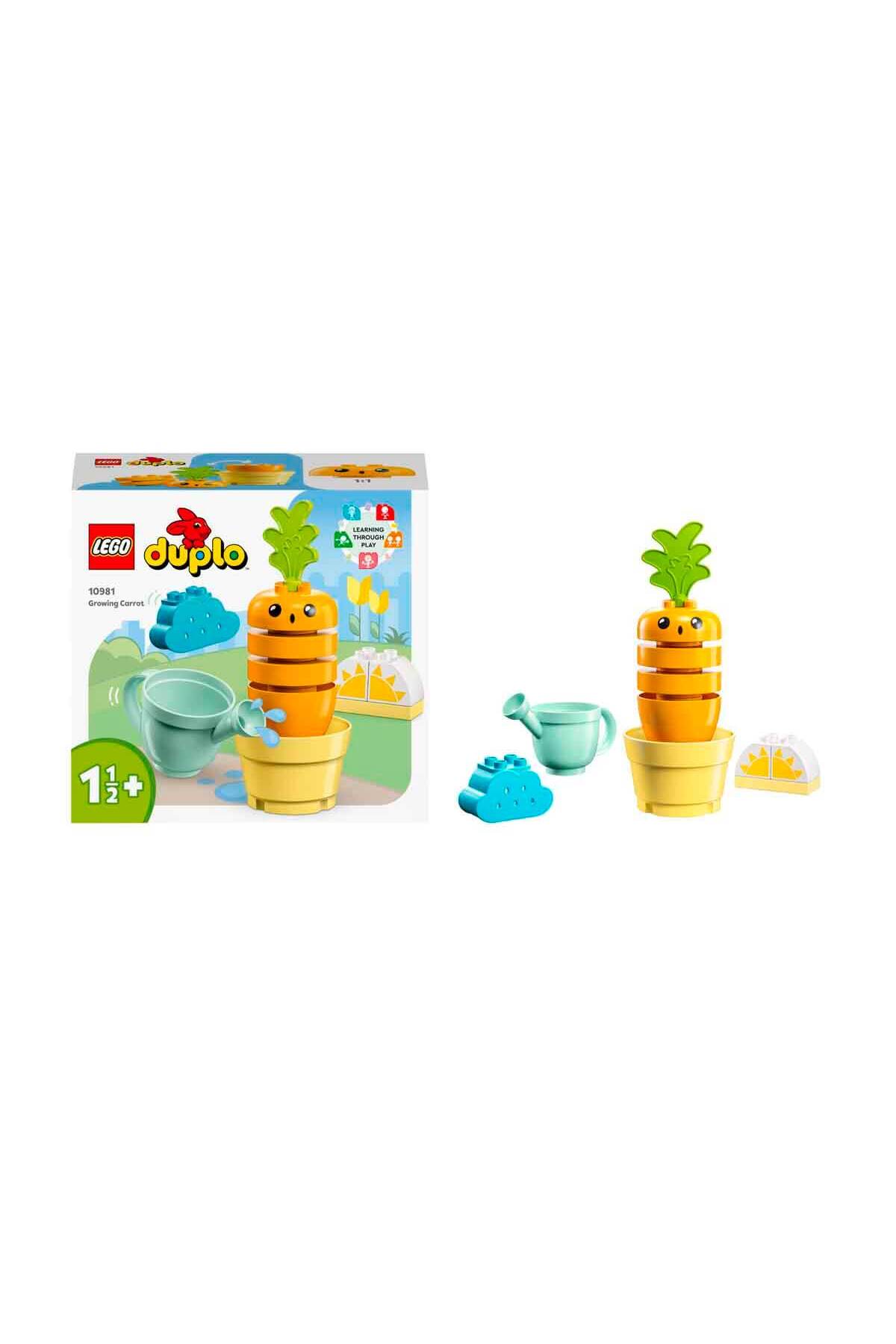 دوپلو مای کاروت: اولین رشد – ۱۰۹۸۱