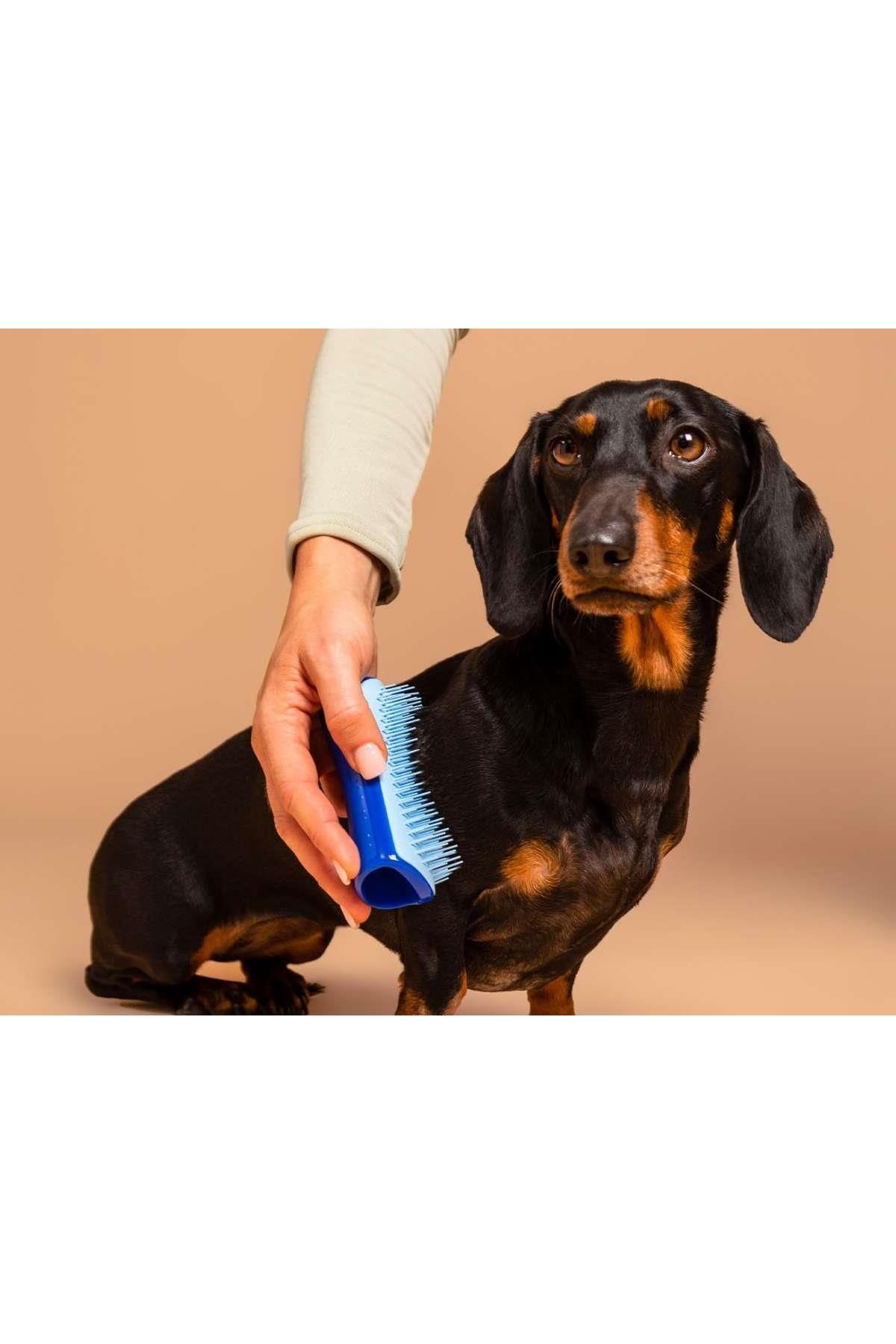 Pet teezer store