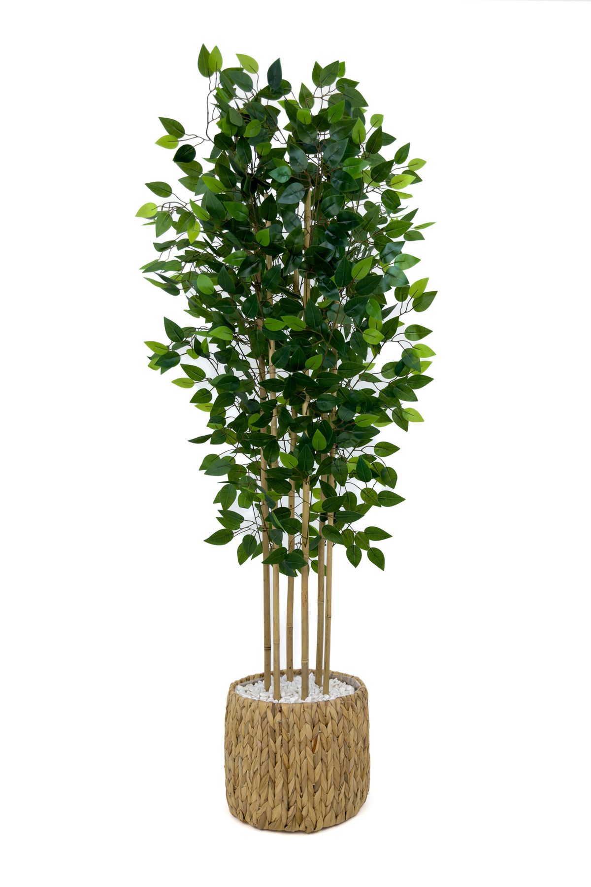 BİÇİÇEK-Artificial Benjamin Tree 170cm Wicker Bohem2 in a Pot 3