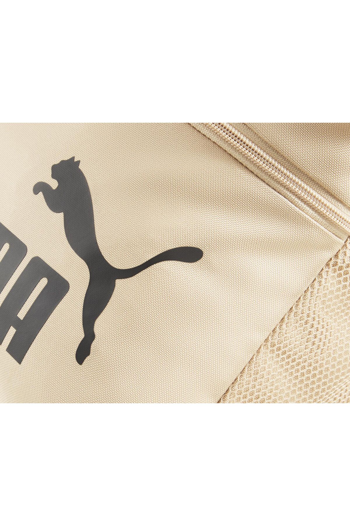 Puma phase 22l 2025 backpack