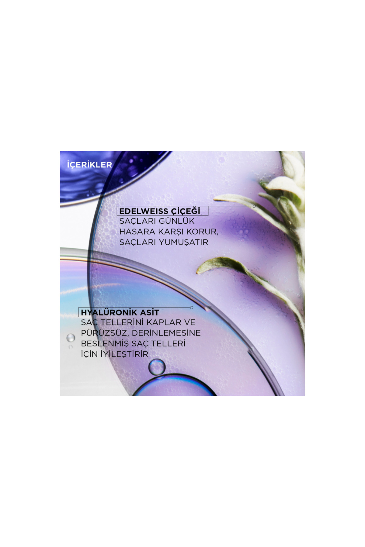 Blond Absolu Masque Ultra Violet Sarı Yansımaları Nötralize Eden Saç Maskesi 200 ml — dipam030201 — تصویر 6 از 6