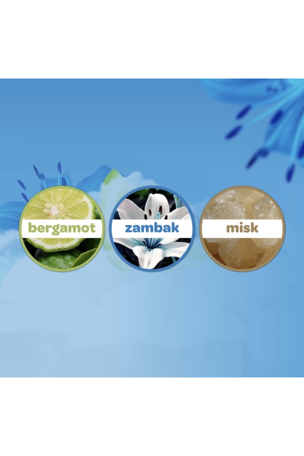 Dalin Bebek Kokonyası Deniz Esintisi 150 ml fotoğrafı 4 (önizleme)