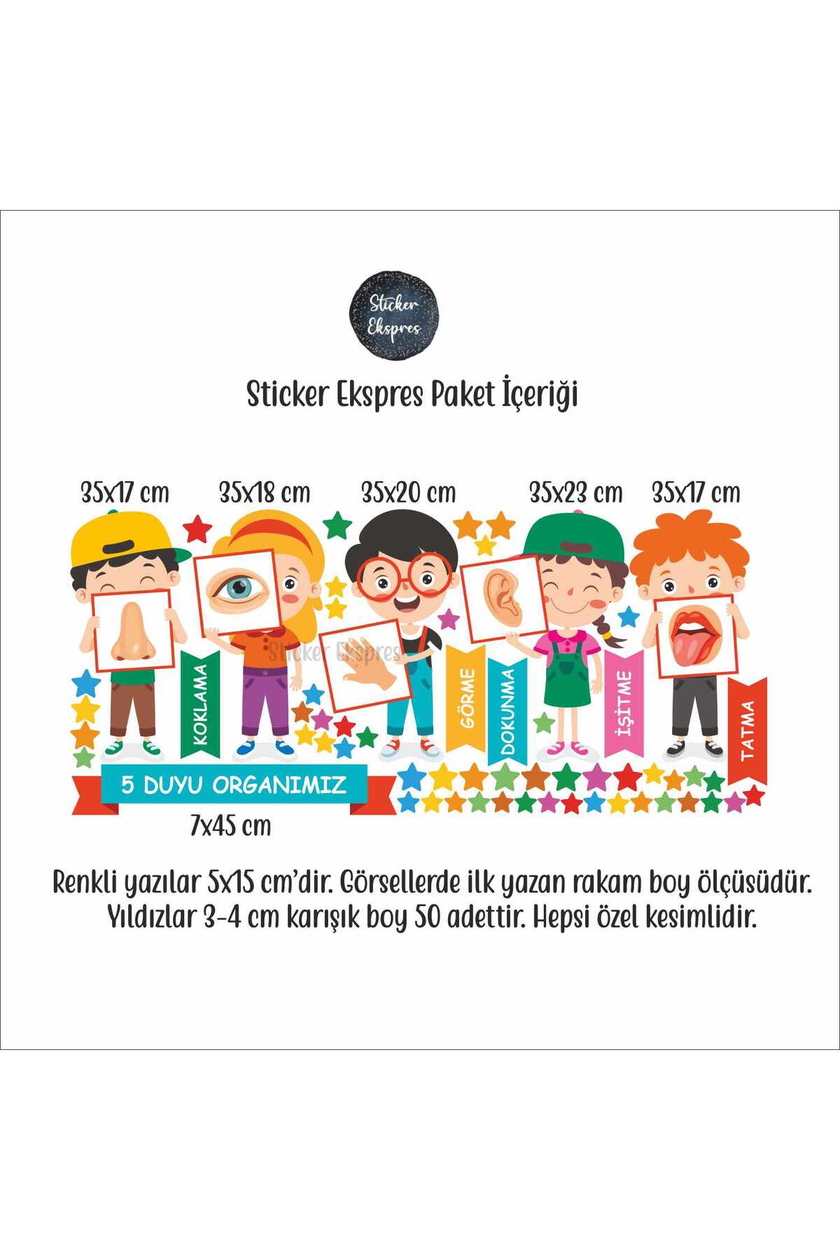 Sticker Ekspres Beş Duyu Organımız Eğitici Anaokulu Çocuk Odası Kreş Duvar Kapı Cam Sticker Seti fotoğrafı 3 (önizleme)