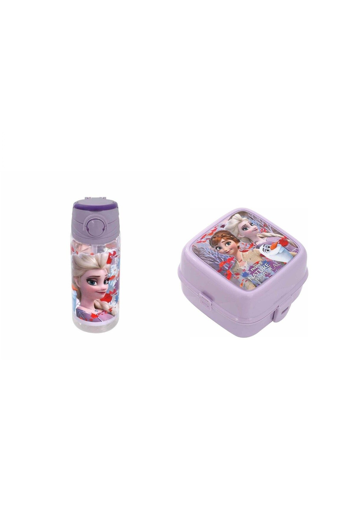 Frozen-Magical Flask Lunch Box - Nature 500 ml and Lunch Box 2