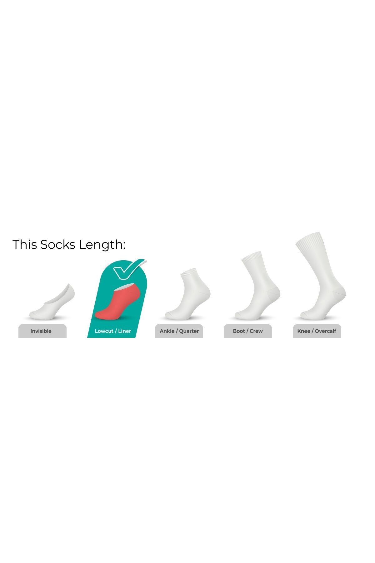 Gym Socks, Crew, Quarter & Invisible Socks
