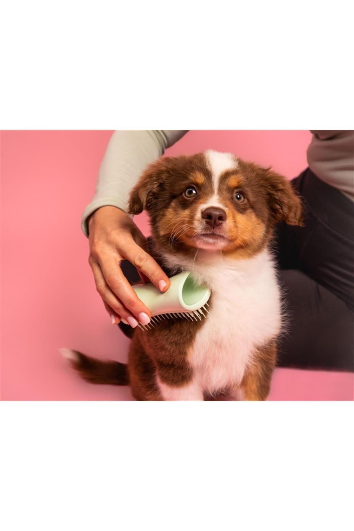 Pet teezer detangling sales brush