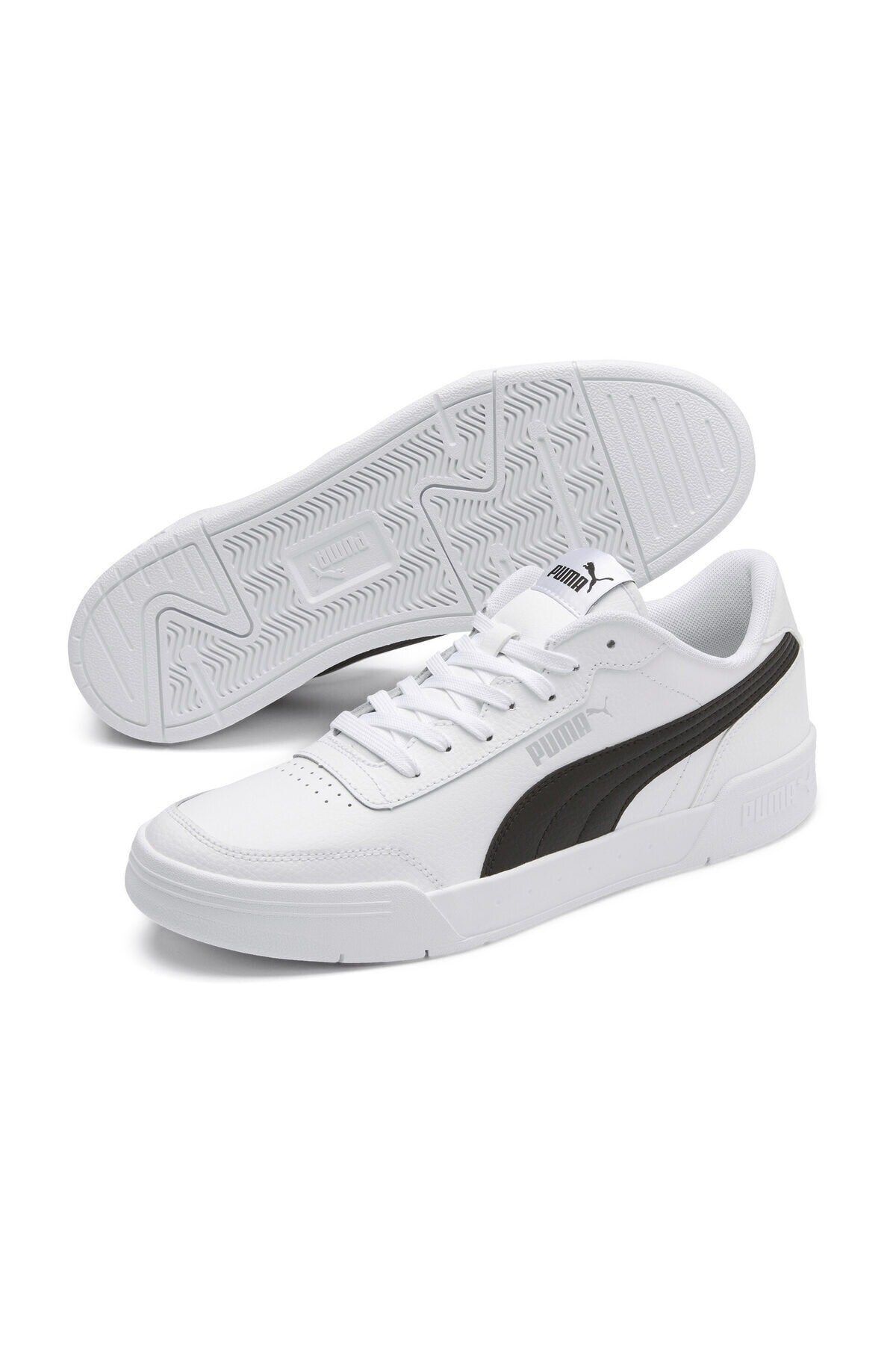 Puma caracal hot sale