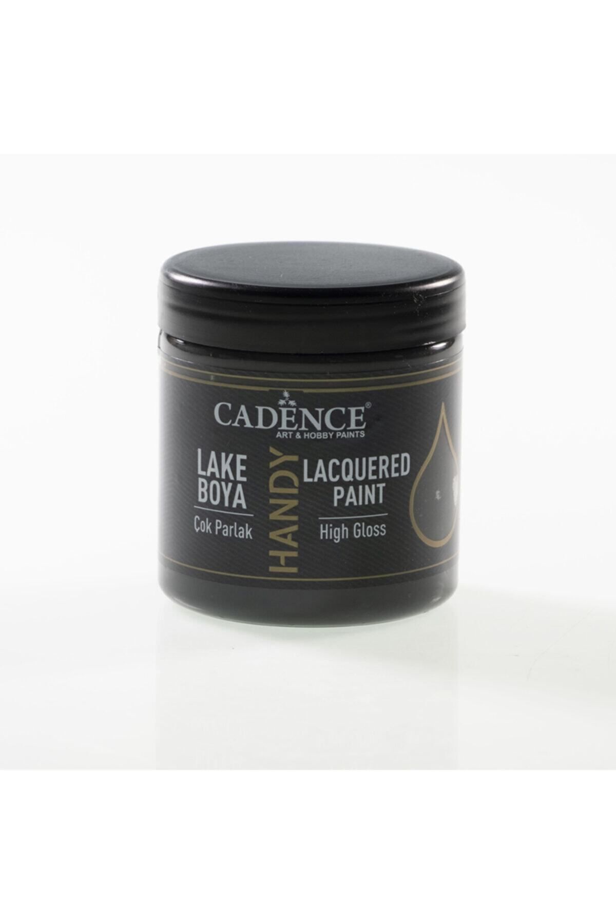 Cadence Handy Lake Boya L-059 Antrasıt 250ml - 1