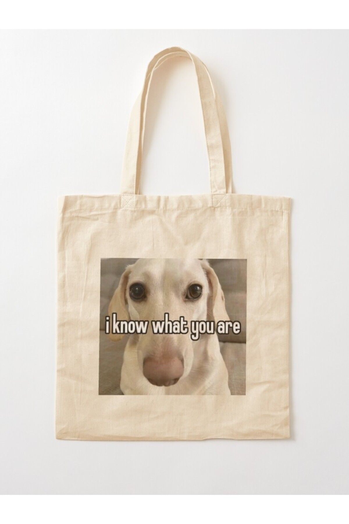 w house Körüklü Bez Omuz Çantası 01277 homophobic dog meme i know