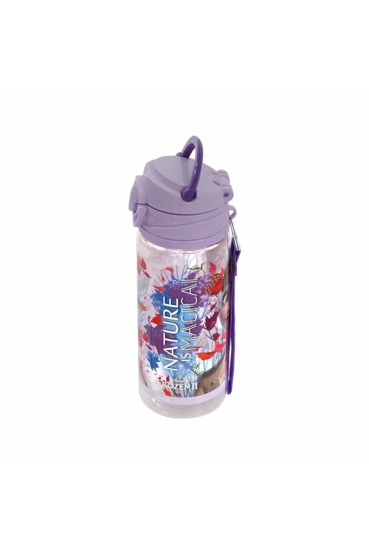 Frozen-Magical Flask Lunch Box - Nature 500 ml and Lunch Box 5