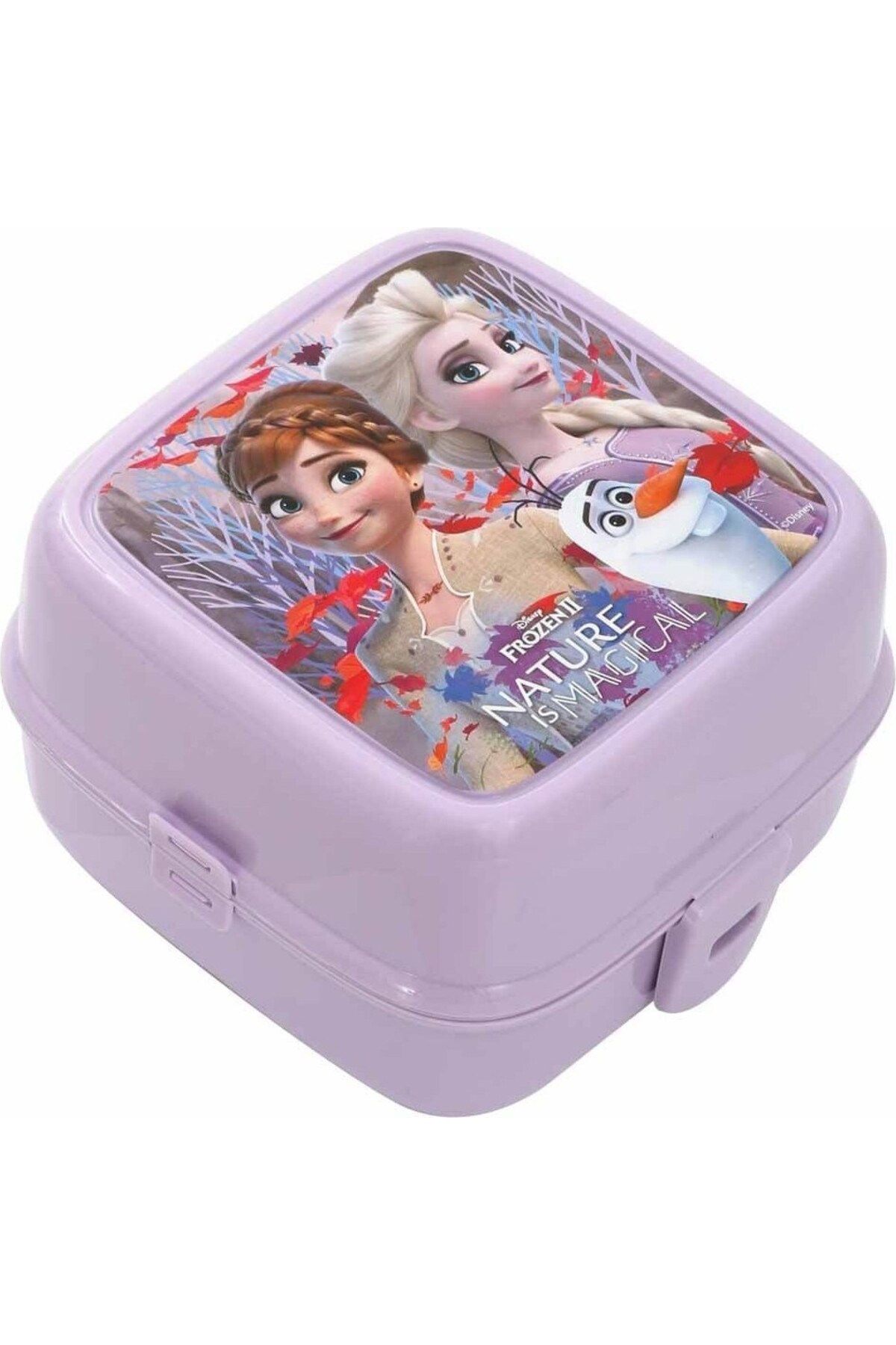 Frozen-Magical Flask Lunch Box - Nature 500 ml and Lunch Box 4