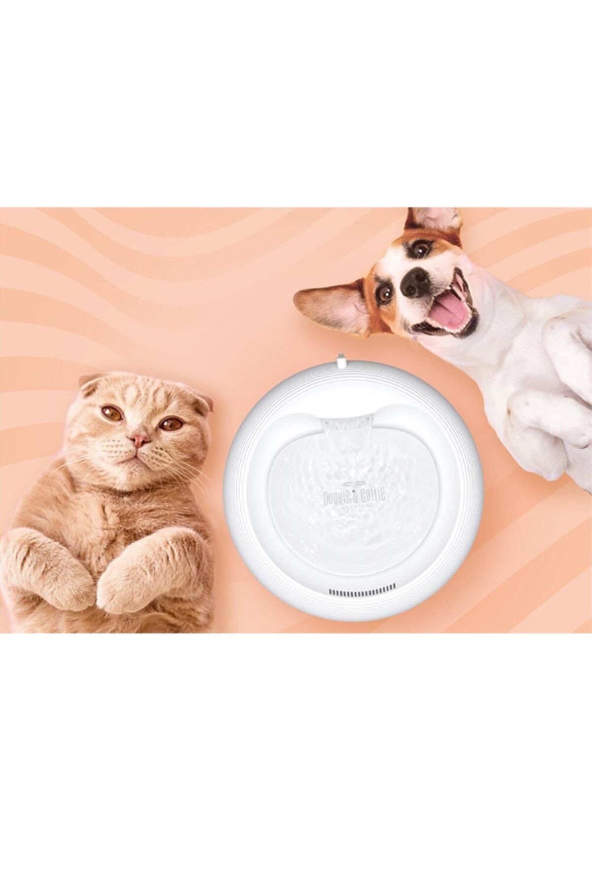 Pet on sale cat accessories