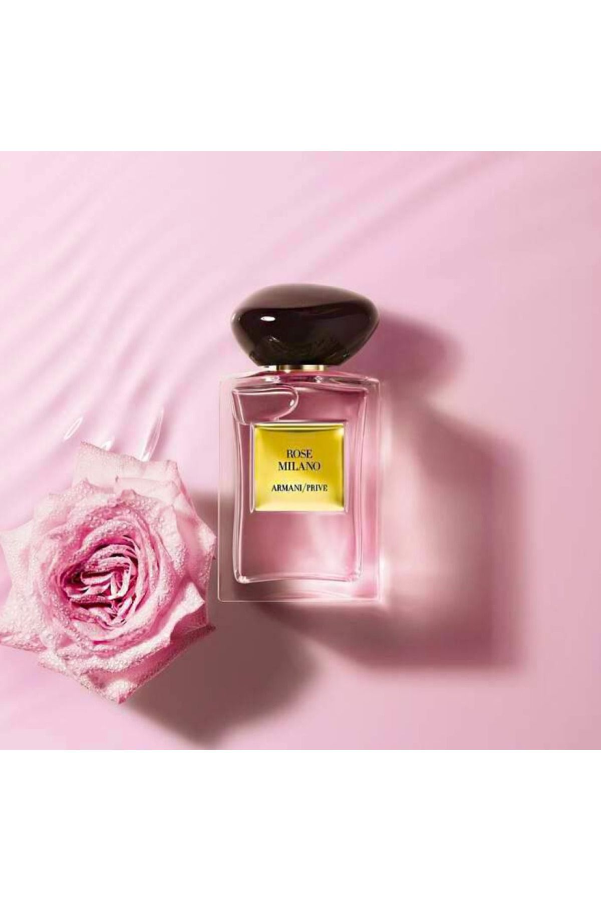 Giorgio armani rose discount perfume