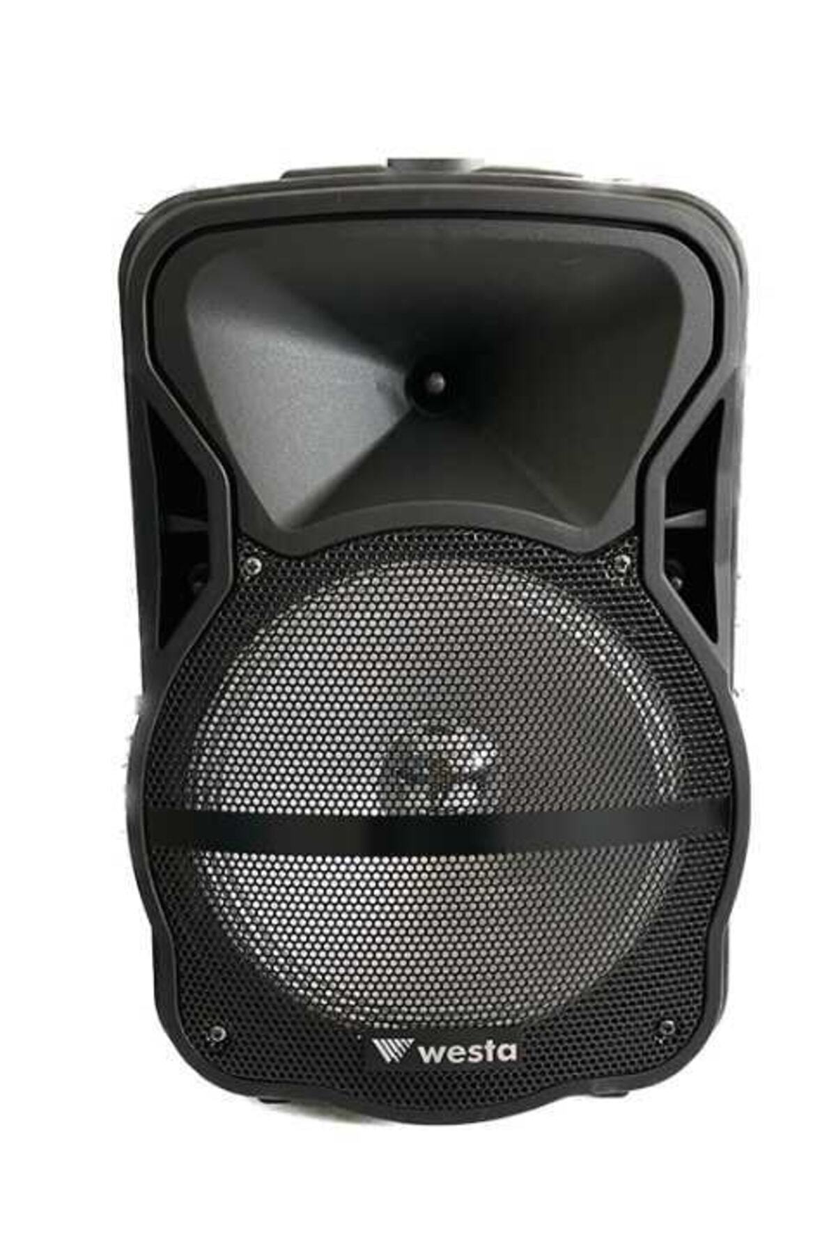 Westa Wap-1053e 10 Inc 1 El Aktif Hoparlör - Fiyatı, Yorumları