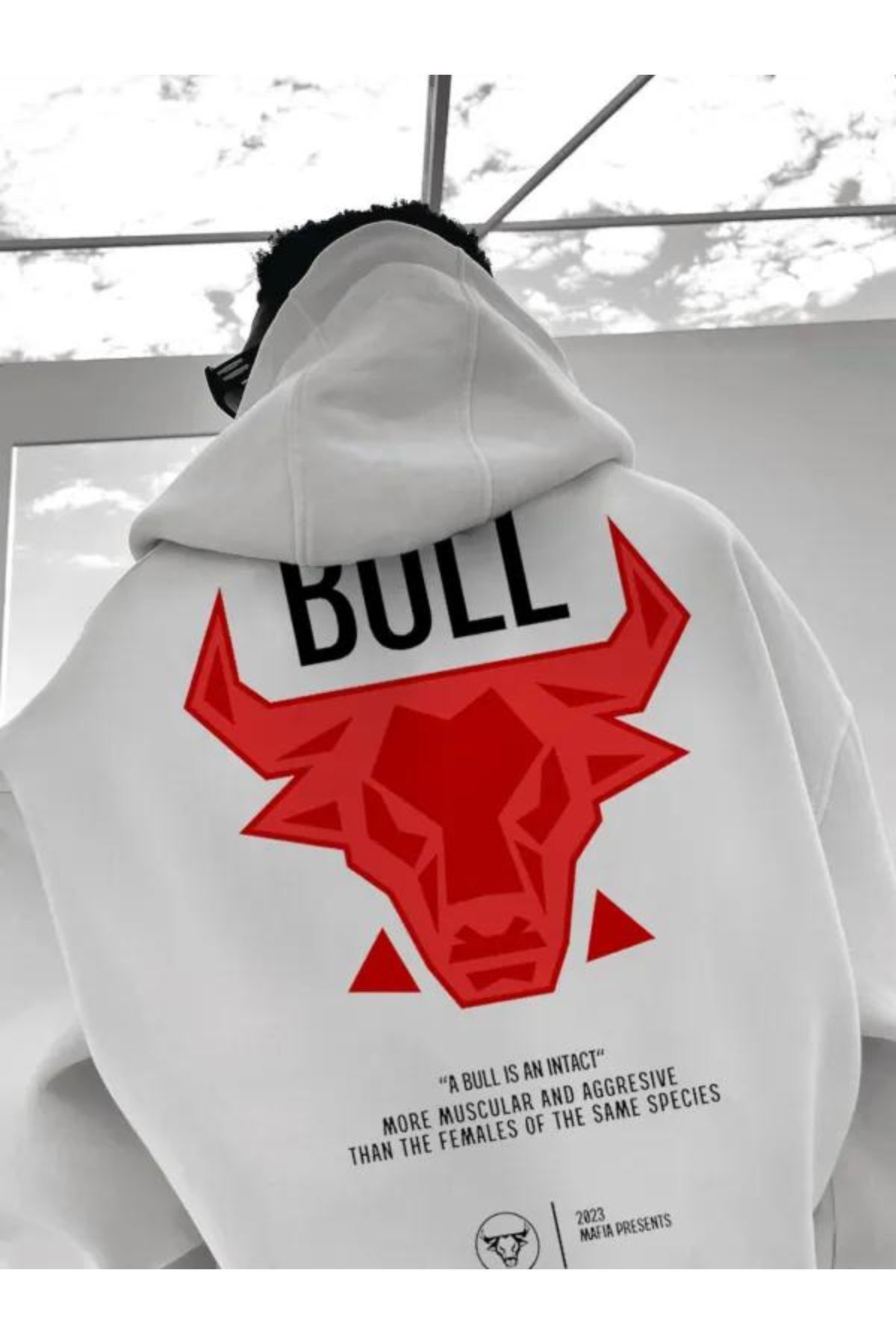 Bull sweatshirt clearance