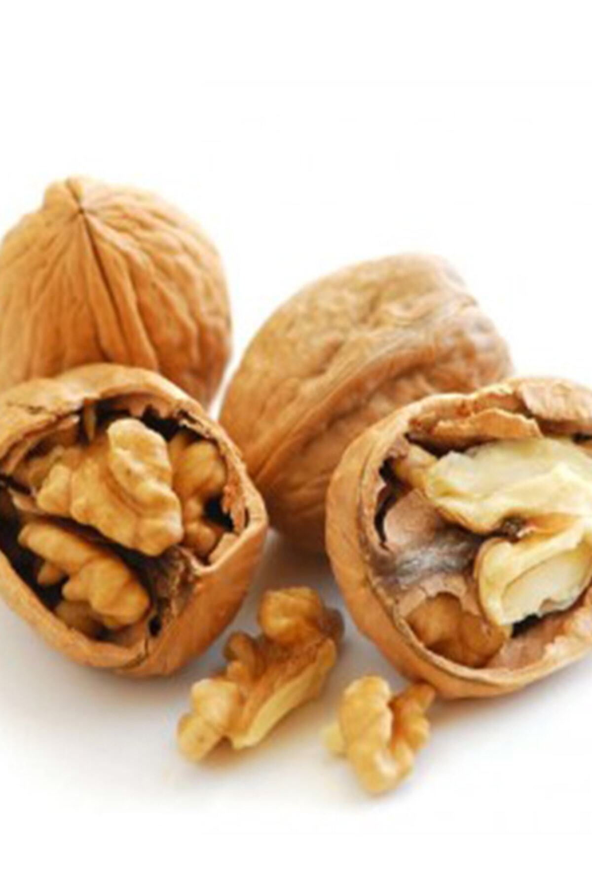 Чилийский грецкий орех. Сновидение ореховое дерево. Грецкий орех во сне. Орех грецкий. Грецкий орех во сне.